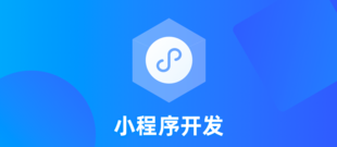 南昌高新区做软件公司,小程序定制APP开发