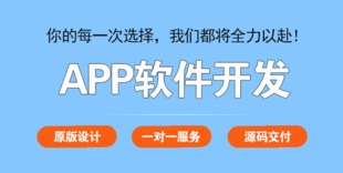 南昌红谷滩做APP软件公司,小程序商城开发