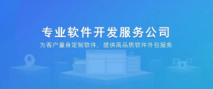 南昌县做软件公司,购物网站建设小程序APP开发