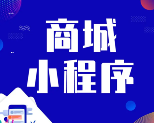 南昌做小程序商城APP的计算机软件开发公司