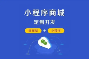 江西南昌做商城小程序APP软件开发的网络公司