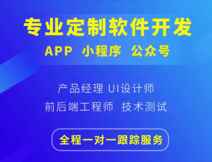 江西南昌做商城小程序APP软件开发的网络公司
