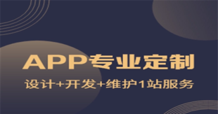 江西南昌哪家做APP软件开发的网络公司好