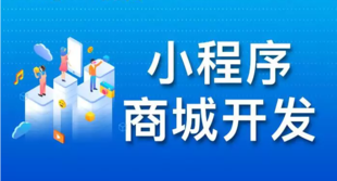 南昌本地做小程序商城的老牌软件开发公司找哪家