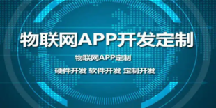 南昌软件制作开发企业,做商城小程序APP物联网公司