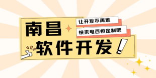 江西个性化定制源码开发的做网站APP软件开发公司