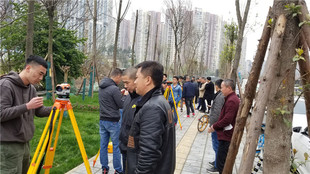 道路放线学习施工测量班