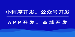 江西软件开发公司,南昌本地小程序商城开发