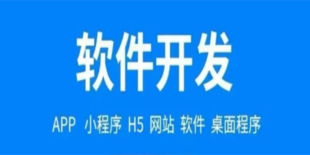 南昌全方面的做网站商城小程序软件制作开发公司