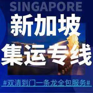 中国集运新加坡 蜂鸟物流 新加坡专线
