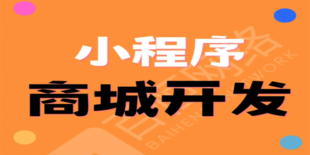 南昌个性化制作的做商城网站小程序软件开发公司