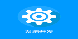 南昌做商城网站建设软件系统开发的网络公司