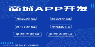 南昌可自主开发的做商城APP小程序的软件公司