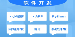 江西做个性化开发网站小程序APP软件的公司