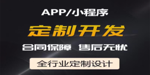 江西做个性化开发网站小程序APP软件的公司