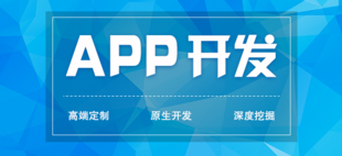 南昌有经验有案例的小程序APP软件开发公司