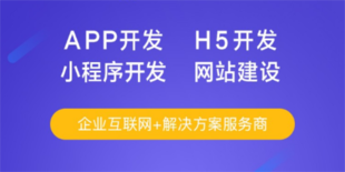 南昌能够开发软件的公司,做小程序APP网站开发