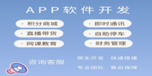 江西南昌有技术有经验有案例的APP软件开发公司