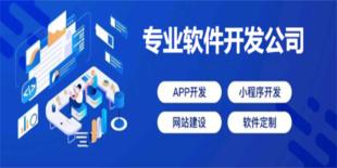 南昌软件开发公司,做网站做小程序做APP开发