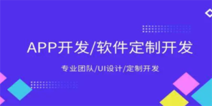 南昌软件设计开发公司,网站小程序APP制作