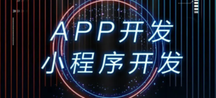 南昌大型软件开发小程序APP制作网站建设的公司