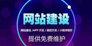 南昌18年经验的做网站小程序软件开发公司