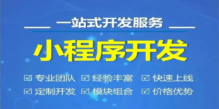 南昌2006年成立的小程序APP软件开发公司