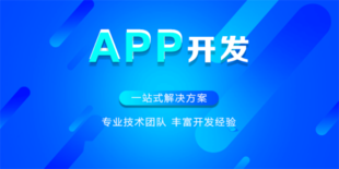 南昌2006年成立的小程序APP软件开发公司