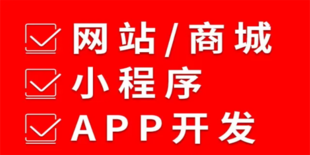 江西2006年成立的做网站商城APP软件开发公司