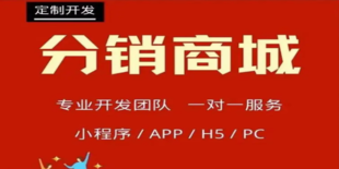 南昌做分销商城小程序APP软件开发公司