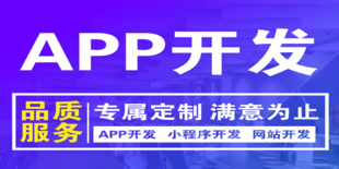 南昌做分销商城小程序APP软件开发公司