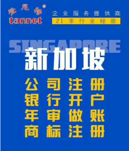 新加坡对企业有什么吸引力，注册成功后有什么文件