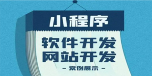 南昌本地开发公司,H5网站开发小程序软件开发