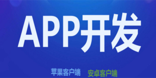 江西南昌开发公司,做软件APP公众号H5小程序开发