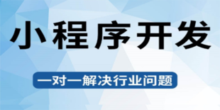 南昌做各类软件公司,做小程序商城APP开发