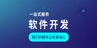 南昌综合性APP软件开发公司,做商城网站小程序开发