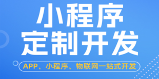 南昌全方面软件开发,做购物网站小程序APP开发