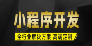 南昌互联网技术开发公司,商城小程序软件开发