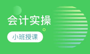 财务会计手把手教学 循环课程 不懂免费再学一期