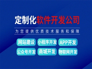 江西软件产品开发公司,做网站小程序APP开发