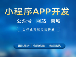 江西软件产品开发公司,做网站小程序APP开发