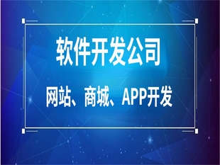 怎么在南昌找做网站小程序APP软件开发公司