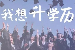五年制专转本需要准备什么查哪些资料?