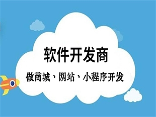 综合性软件开发商,南昌商城网站小程序开发