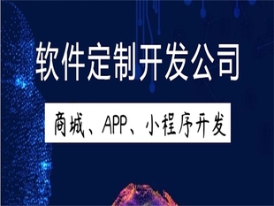 定制化软件开发,南昌做商城APP小程序开发