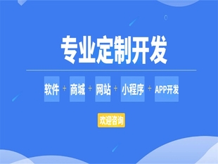 专业定制开发,南昌商城小程序APP软件开发