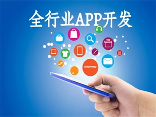软件外包开发服务商,南昌小程序商城APP开发