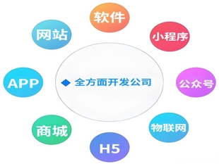 南昌做网站做小程序做APP的软件开发公司