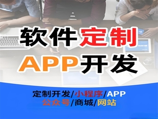 南昌个性化软件服务,网站小程序商城APP开发