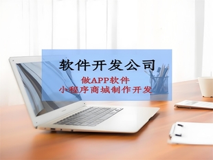 南昌提供软件APP开发小程序商城制作的公司